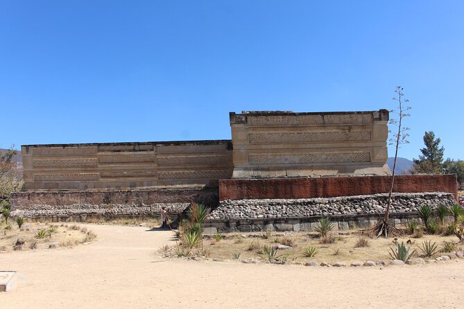 Explore Hierve el Agua, Mitla, Tule, Textile and Mezcal for a day - Santa María del Tule’s Tule Tree