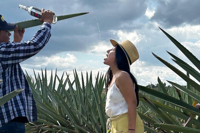 Explore Hierve el Agua, Mitla, Tule, Textile and Mezcal for a day - Who this tour suits, and the value of $75.12