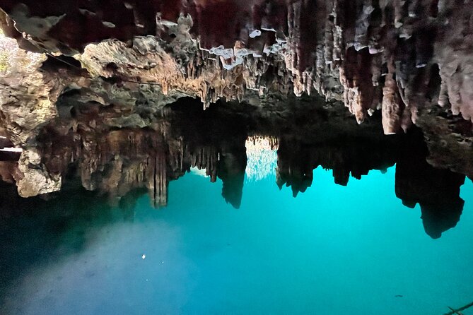 Family ATV Cenote Five Zip Lines Photos Taco Lunch Tequila Taste - Included Photo and Video: How You Keep Your Phone Dry