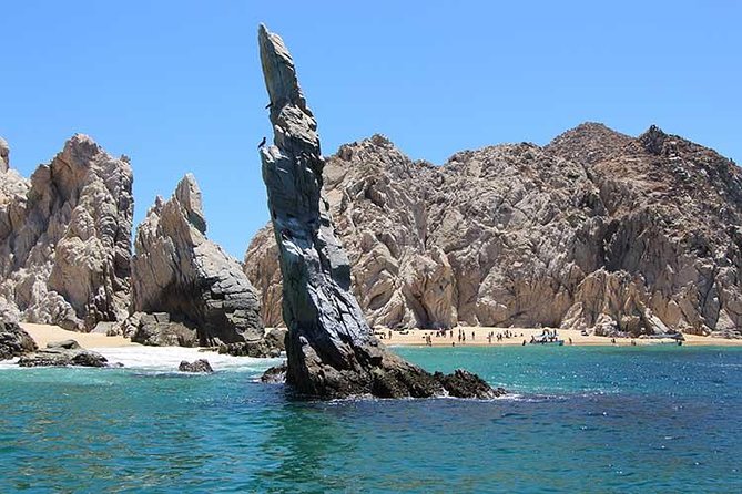 Famous Arch tour with Glass Bottom Boat. - Price and value: why $25 makes sense for a 45-minute trip
