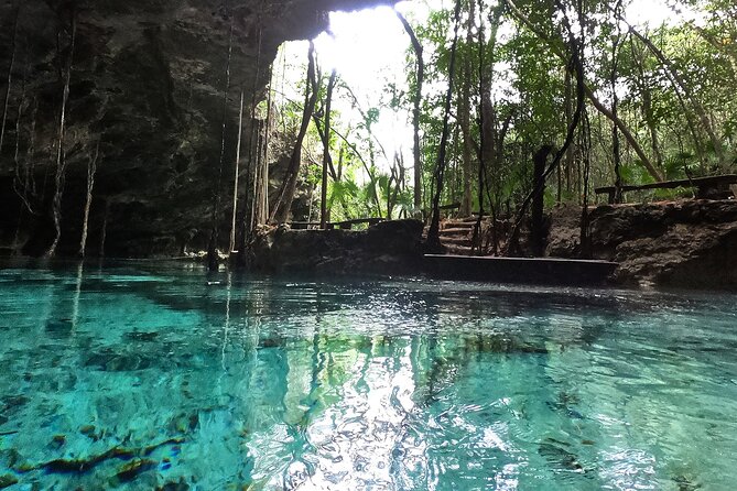 Five Cenotes Jungle Experience in the Riviera Maya - Stop-by-stop: the Riviera Maya cenote circuit