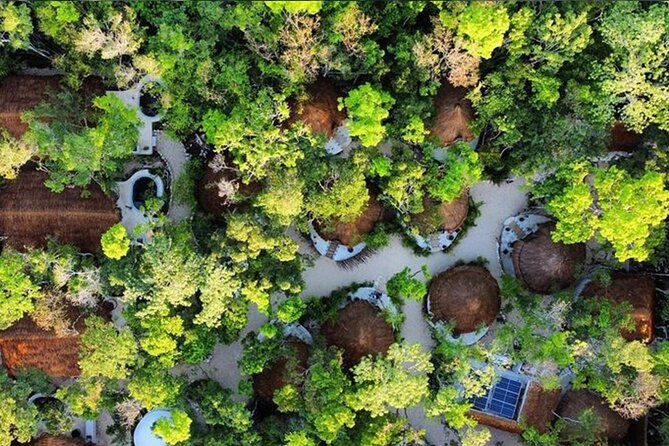 Floating breakfast in The Yellow Nest (near Dos Ojos cenote) - Price and value: is $88.82 actually worth it?
