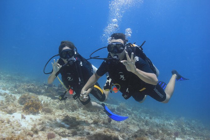 For certified Divers Experience the Under Water Museum and the Manchones Reef - What is included, and what you may need to add