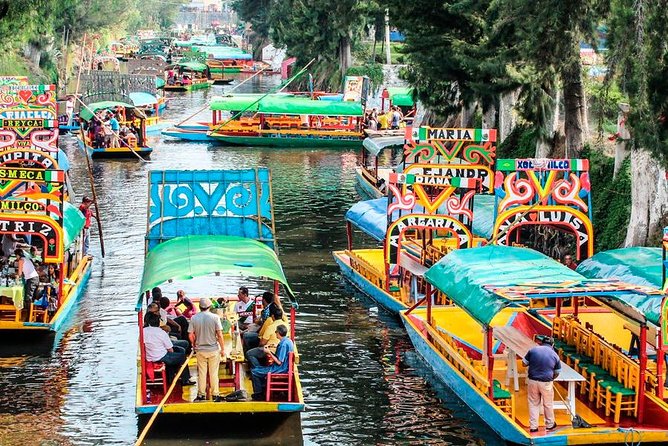 Frida Kahlo's House, Coyoacan and Xochimilco - All Day Tour - A smart way to pack Mexico City into one day: Xochimilco, UNAM, Coyoacan, and Frida
