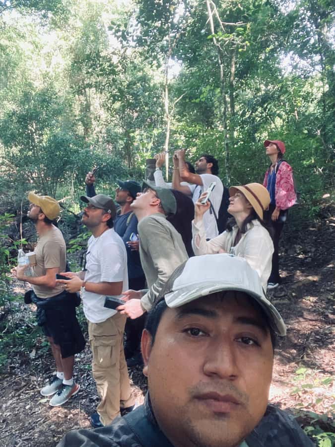 From Bacalar: Calakmul Ruins Expedition & Jungle Trek - Pickup and drives: comfort, safety, and what to do during the long ride