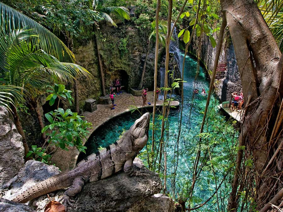 From Cancun: Complete Combo to Xcaret Park! - Entering Xcaret Park: your day is really the choices you make