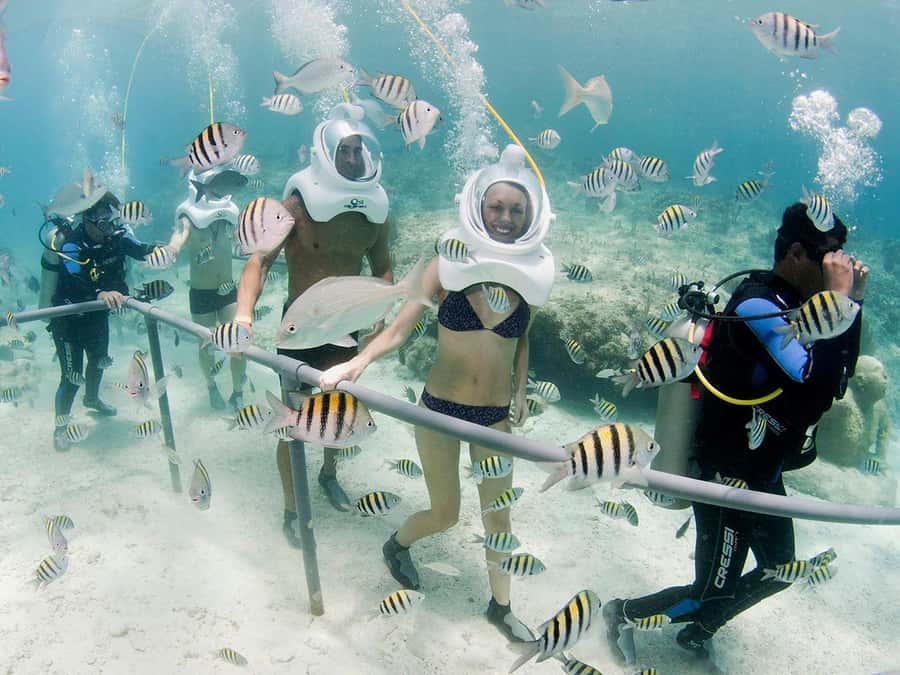 From Cancun: Complete Combo to Xcaret Park! - Coral reef, butterflies, and birds: wildlife stops that break up the pace