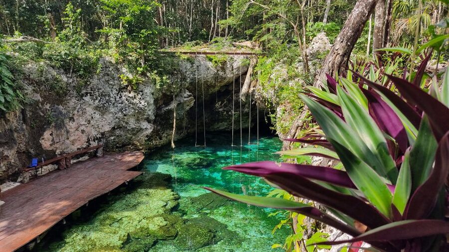 From Cancun: Day Trip to Tulum, Cenote & Playa del Carmen - Transportation and logistics: multiple bus segments, real-world timing