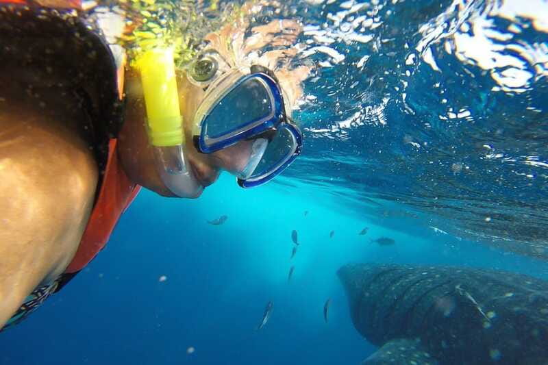 From Cancún: Half-Day Snorkeling with Whale Sharks - Group Size and Guide Style: Small Is Good, but Pay Attention to Instructions