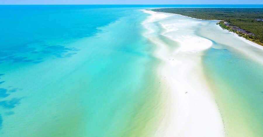 From Cancun or Puerto Morelos: Holbox Boat Tour with Lunch - Key Highlights You Should Care About