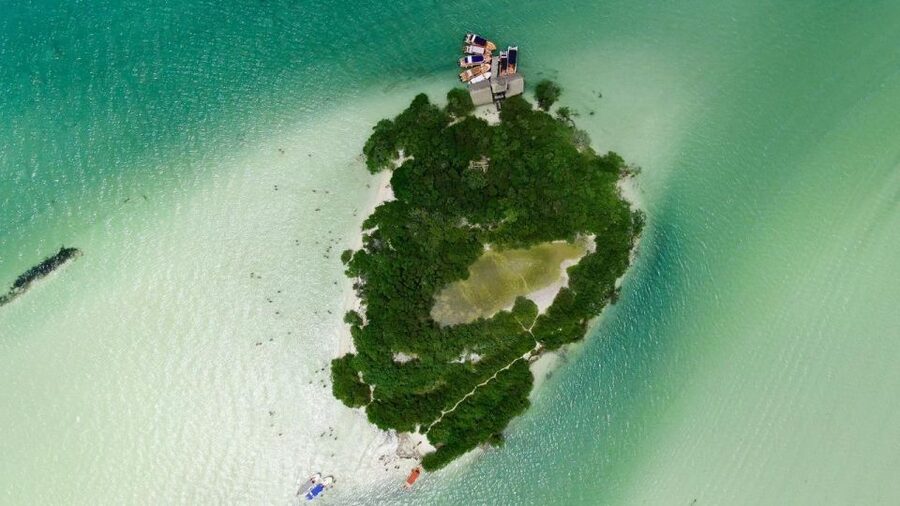 From Cancun or Puerto Morelos: Holbox Boat Tour with Lunch - The Cenote Moment at Hoyo Negro Yalahau
