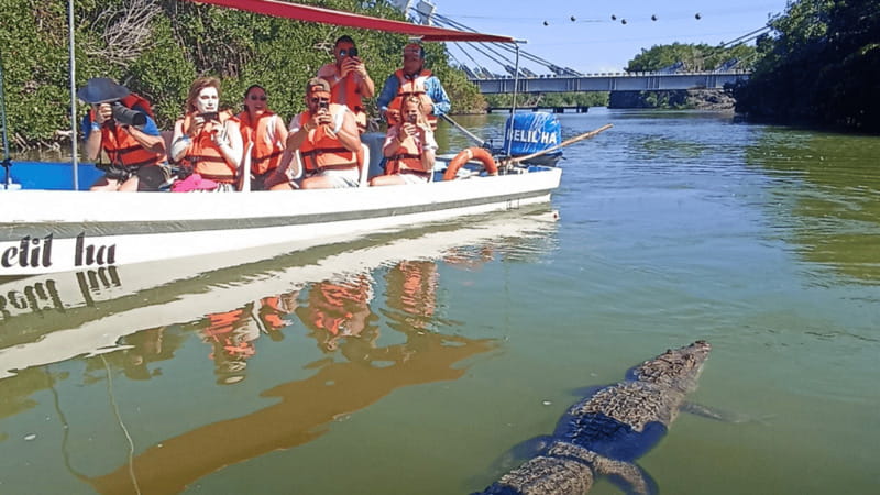 From Cancún: Rio Lagartos & Las Coloradas Day Trip & Lunch - The Mayan Bath, Clay on Your Skin, Then a Beach Rinse
