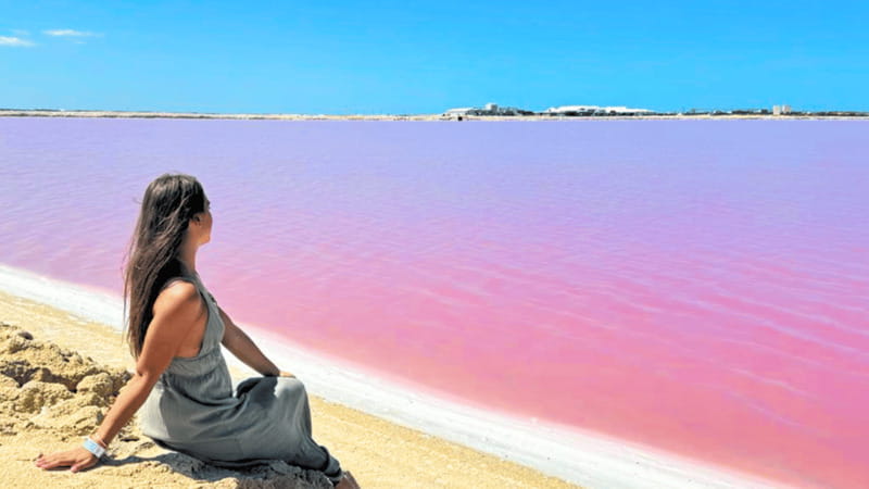 From Cancún: Rio Lagartos & Las Coloradas Day Trip & Lunch - Guides, Wildlife Captains, and the Human Part of the Day
