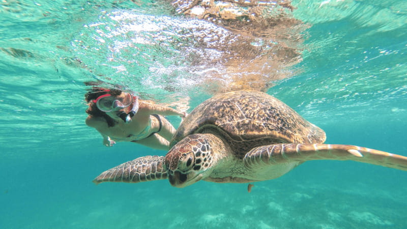 From Cancun: Tulum and Akumal Cenote and Turtle Swim Tour - What to Bring, What Not to Bring, and the Small Stuff That Saves You