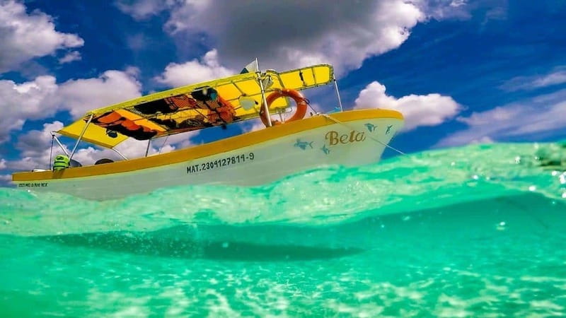 From Cozumel: 3 Reefs Boat Tour with Drinks and Snorkeling - Stop 2: The Columbia Reef stop, starfish and easy scanning