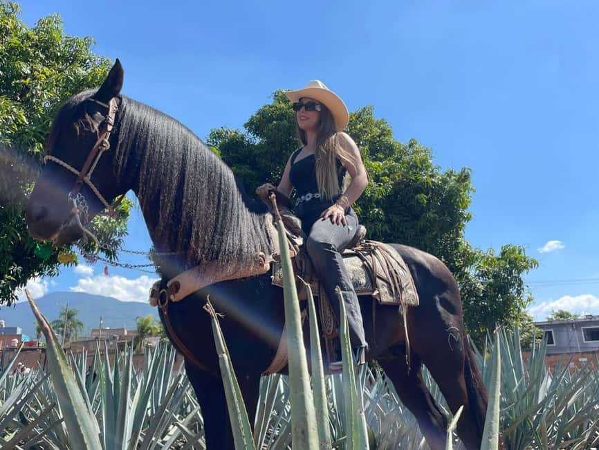 From Guadalajara: Tequila Town and Cantaritos El Guero - How This Day Trip Turns Tequila Into a Real Story