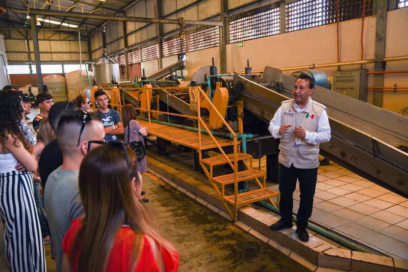 From Guadalajara: Tequila Trail Tour with Tasting - Key Things I’d Watch For on This Tequila Trail Tour