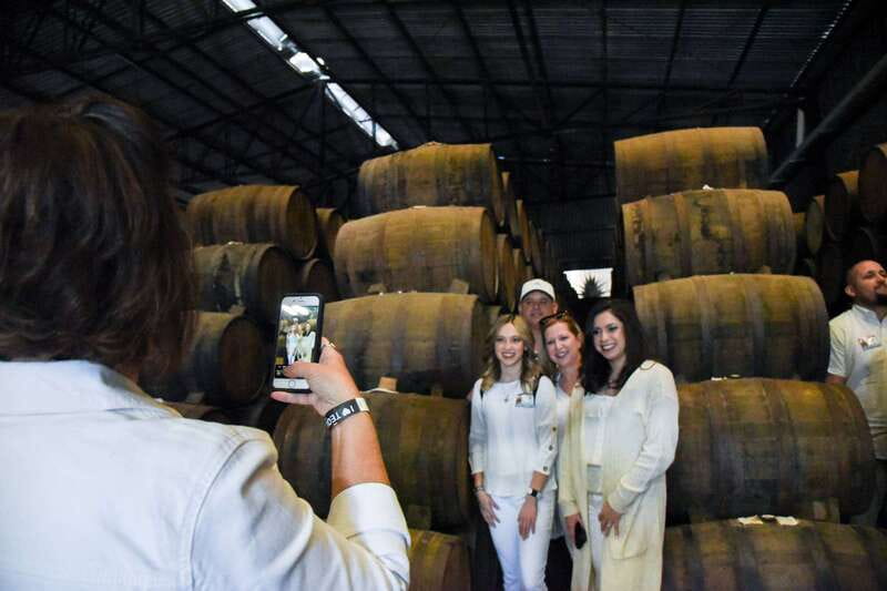 From Guadalajara: Tequila Trail Tour with Tasting - Jose Cuervo, Herradura, Sauza: What You’ll Actually See