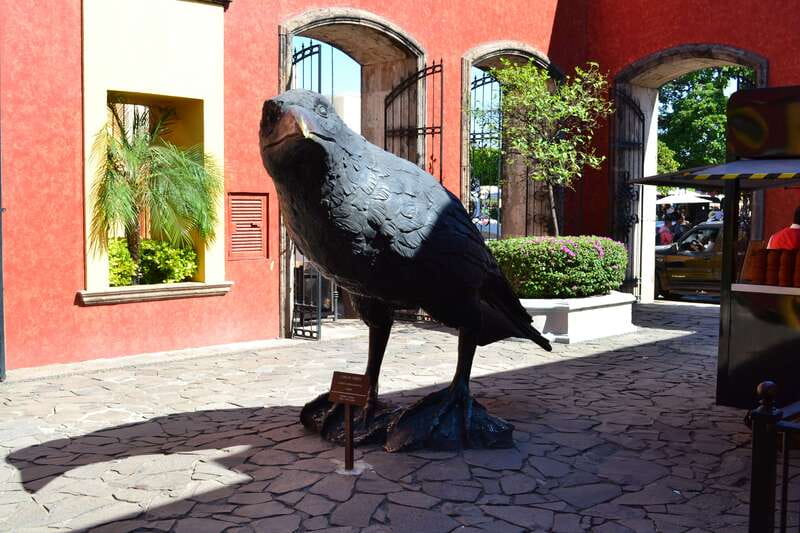 From Guadalajara: Town of Tequila & Jose Cuervo Factory Tour - The 9-hour plan from Guadalajara, and why timing matters