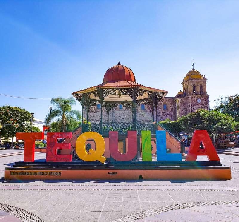 From Guadalajara: Town of Tequila & Jose Cuervo Factory Tour - Agave fields: the story starts before the distillery