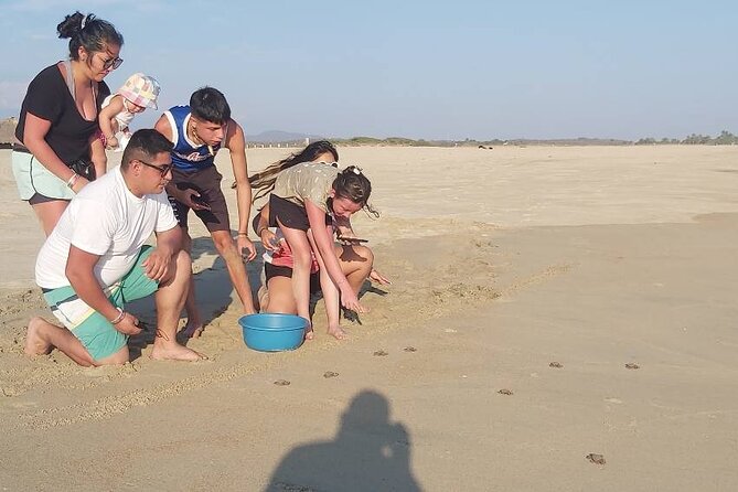 From Huatulco: Turtle Release & Bioluminescence - Laguna Manialtepec bioluminescence: boat spotting, starry skies, and a night swim