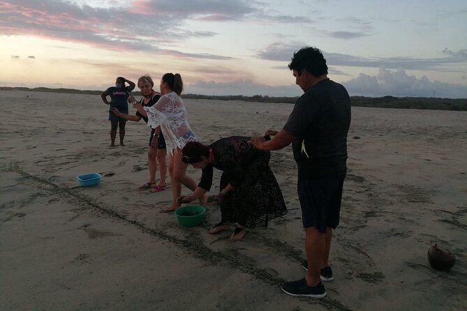 From Huatulco: Turtle Release & Bioluminescence - Price and value: what your $120 is really buying