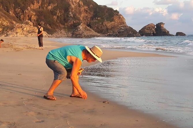 From Huatulco: Turtle Release & Bioluminescence - Who should book, and who should think twice