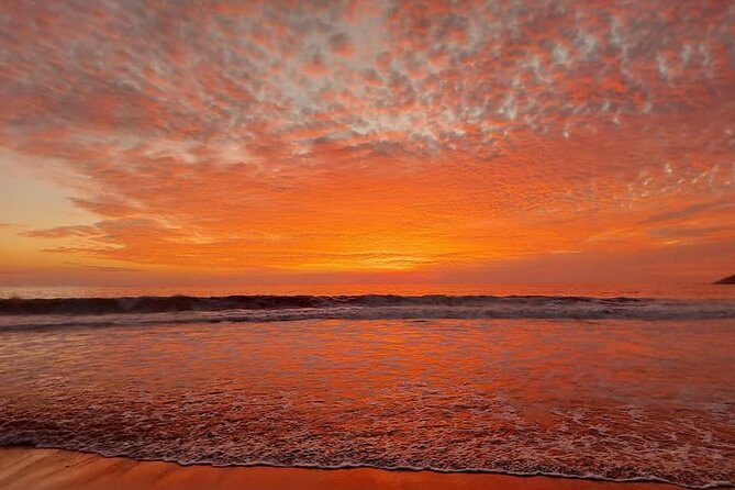 From Huatulco: Turtle Release & Bioluminescence - Should you book Turtle Release & Bioluminescence from Huatulco?
