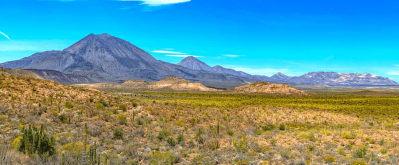 From Los Cabos: City Tour La Paz, Balandra and Todos Santos - 5:00 AM pickup and the van ride, what matters and what to plan