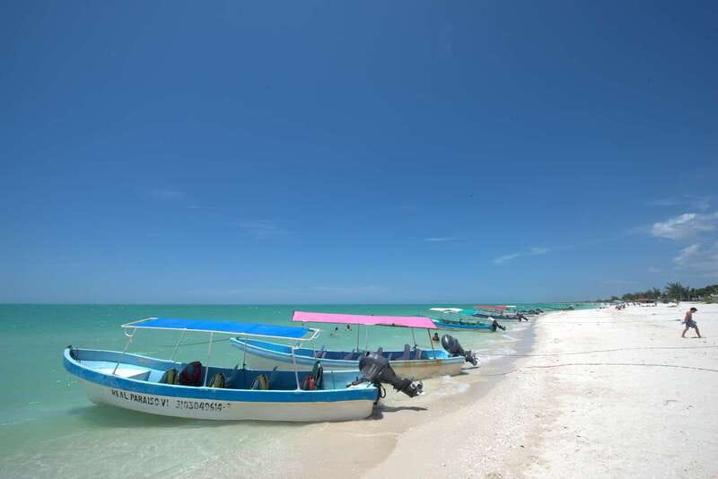 From Mérida: Ria Celestun Biosphere Reserve Tour - Quick hits before you go