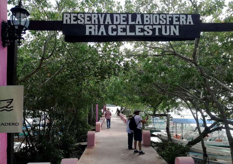 From Mérida: Ria Celestun Biosphere Reserve Tour - The 1 hour 15 minute boat cruise through the estuary and mangroves