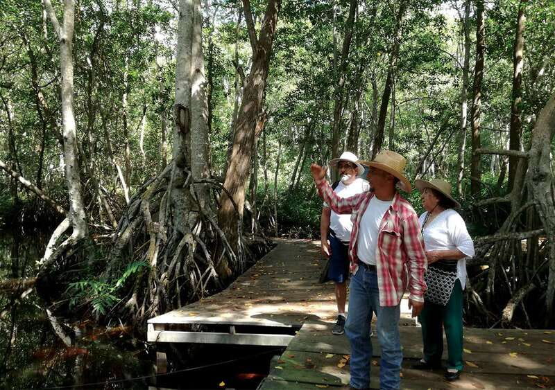 From Mérida: Ria Celestun Biosphere Reserve Tour - Celestún Beach swim time and lunch that sets your expectations