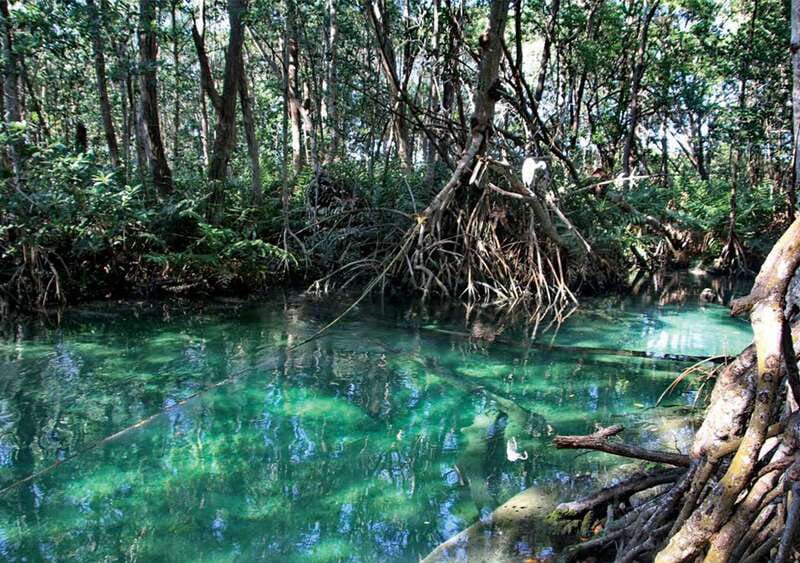 From Mérida: Ria Celestun Biosphere Reserve Tour - Price and value at about $203 per person