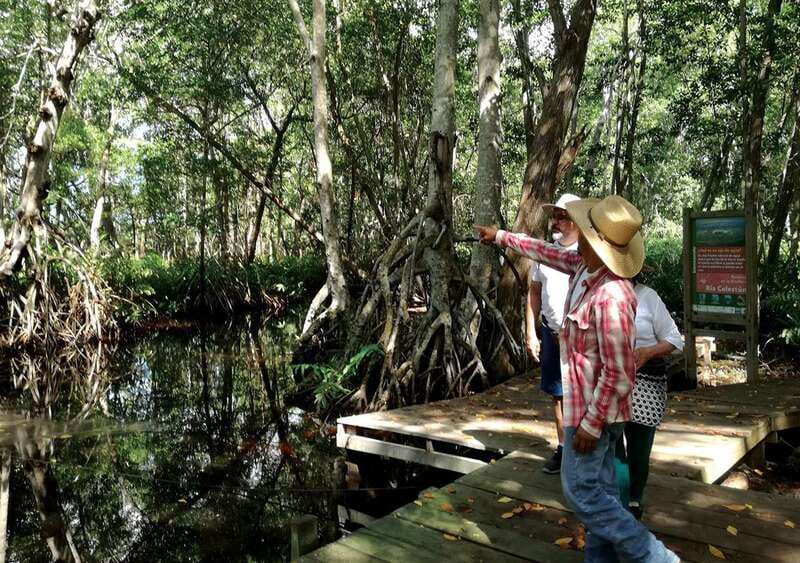 From Mérida: Ria Celestun Biosphere Reserve Tour - Entering the Ria Celestún Biosphere Reserve: wetlands built for wildlife