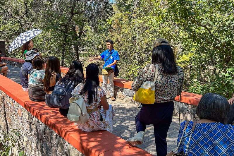 From Mexico City: San Miguel de Allende Day Trip - Free time strategy: lunch and self-paced wandering (without wasting it)
