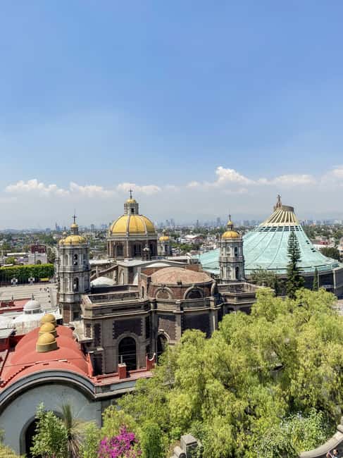 From Mexico City: Tour of Teotihuacan and Basilica of Guadalupe - Who should book this tour, and who should not
