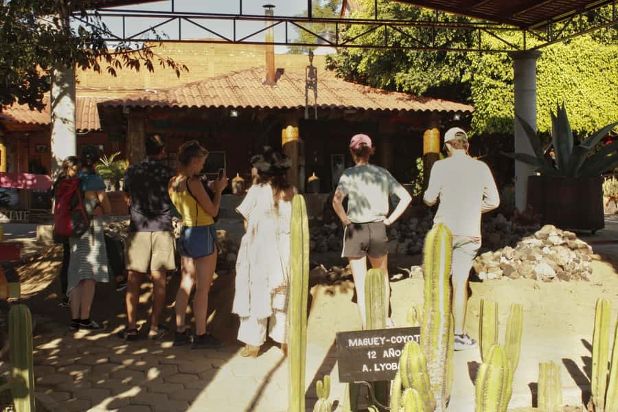 From Oaxaca de Juarez: Hierve el Agua and Mezcal Distillery - Hierve el Agua: Petrified Waterfalls, Views, and the Right Amount of Time