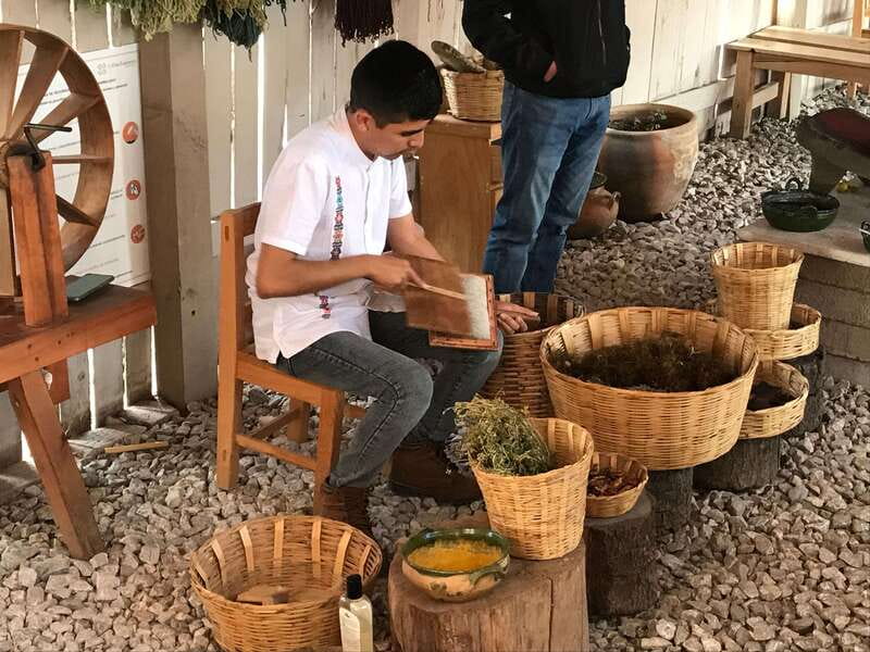 From Oaxaca: Hierve el Agua and Teotitlán del Valle - Teotitlán del Valle, Zapotec tapetes: wool weaving with natural dyes