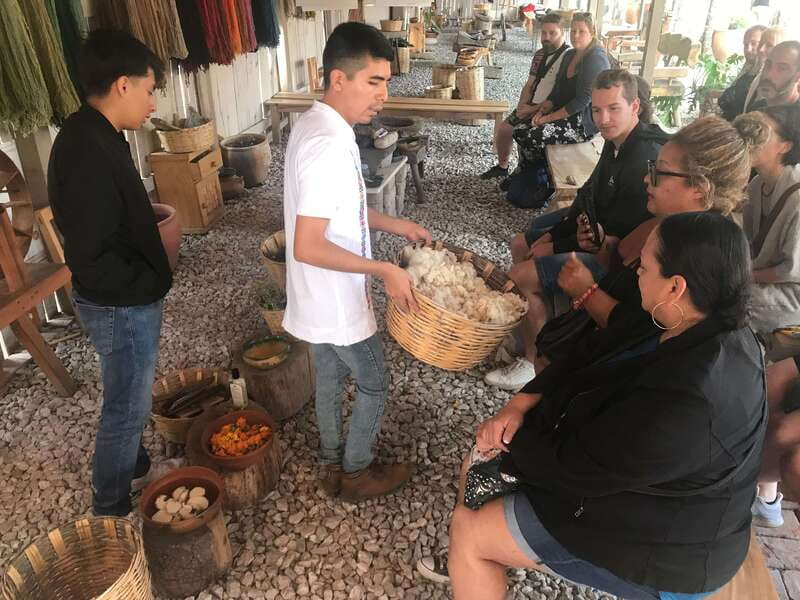 From Oaxaca: Hierve el Agua and Teotitlán del Valle - Comfort, safety, and who this trip fits best