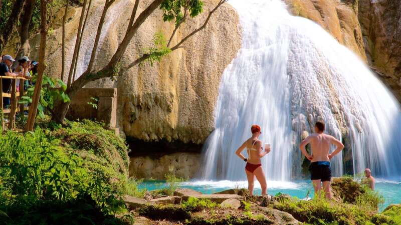 From Palenque: Palenque Ruins and waterfalls Roberto Barrios - Transport Reality: Vans, Timing, and Staying Flexible