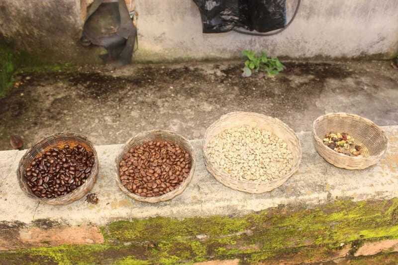 From Puerto Vallarta: San Sebastian del Oeste with Lunch - Organic tequila factory: from agave to the glass