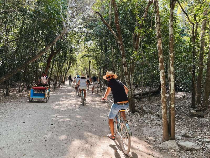 From Riviera Maya: Coba, Punta Laguna & Cenote Guided Trip - Punta Laguna Reserve: Spotting Monkeys and Choosing Your Level of Adventure