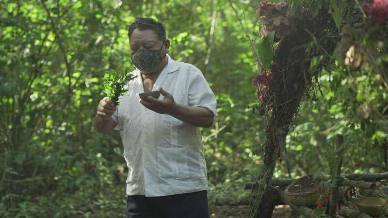 From Riviera Maya: Coba, Punta Laguna & Cenote Guided Trip - Zip-Line or Hiking, Plus a Maya Ceremony Option