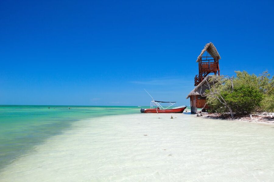 From Riviera Maya: Holbox Full-Day Tour with Lunch - Key highlights that matter on this Holbox day