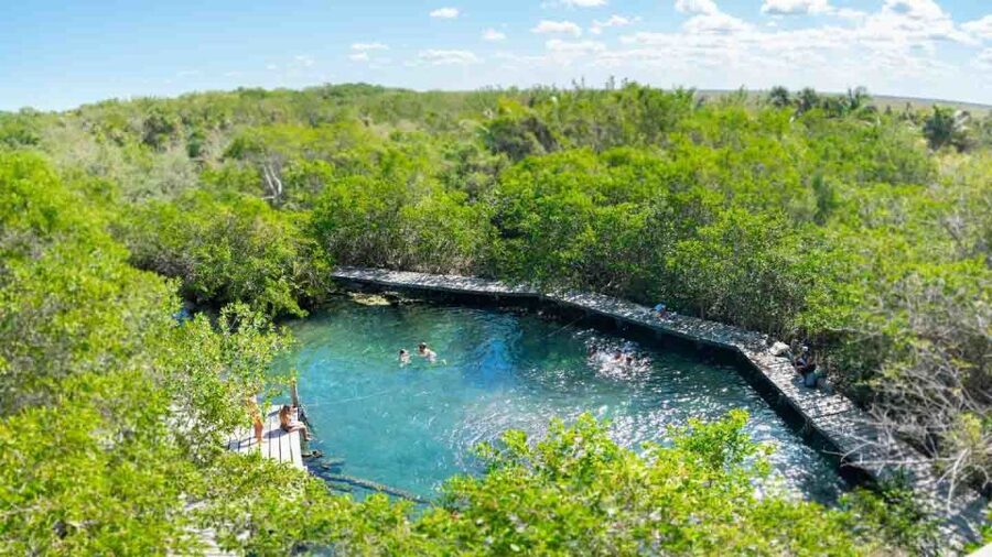 From Riviera Maya: Holbox Full-Day Tour with Lunch - What to pack (and what to skip) for a smoother Holbox day
