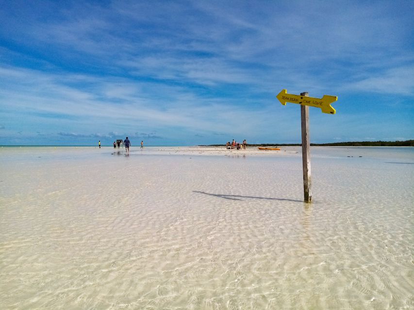 From Riviera Maya: Holbox Full-Day Tour with Lunch - Isla de la Pasión: the quick wildlife window (and why 30 minutes is tight)