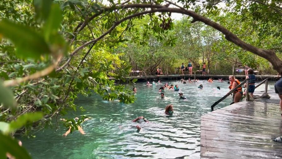 From Riviera Maya: Holbox Full-Day Tour with Lunch - Hoyo Negro Yalahau: swimming in a freshwater cenote setting