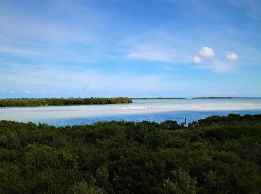 From Riviera Maya: Holbox Full-Day Tour with Lunch - Punta Mosquito, lunch, and Secret Beach sandbars on your schedule