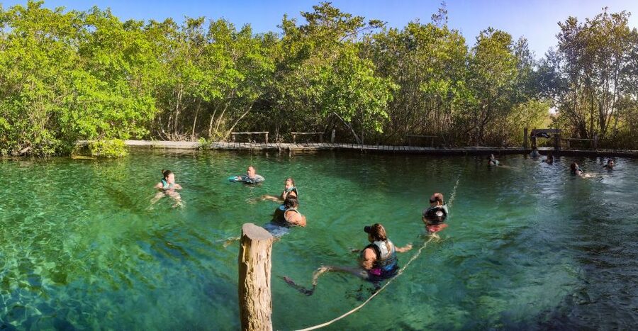 From Riviera Maya: Holbox Full-Day Tour with Lunch - Isla Holbox free time: colorful streets, beach paths, and how to use two hours