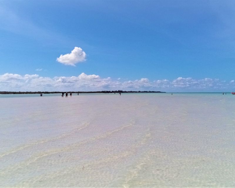 From Riviera Maya: Holbox Full-Day Tour with Lunch - Price and the $40 USD surcharge: what you are really paying for